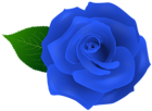 Blue Rose Artistic PNG Transparent Clipart