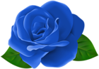 Blue Rose Flower with Leaves PNG Clipart