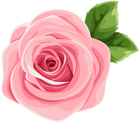 Deco Pink Rose PNG Clip Art Image