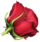 Large Red Rose PNG Clipart Image