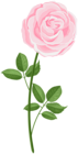 Pink PNG Rose Clipart