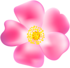 Pink Rose Blossom PNG Transparent Clip Art Image