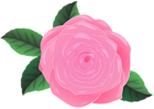 Pink Rose and Leaves PNG Clipart