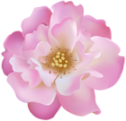 Pink Rosebush Flower Transparent Clip Art Image
