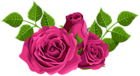 Pink Roses Decorative PNG Clip Art Image