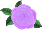 Purple Rose and Leaves PNG Clipart