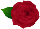 Red Rose Artistic PNG Transparent Clipart