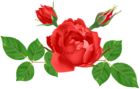 Red Rose Deco PNG Clip Art Image