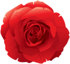 Red Rose Decorative PNG Clip Art