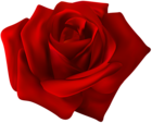 Red Rose Flower Decor PNG Clipart