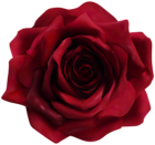 Red Rose Transparent Image