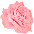 Red Rose Watercolor PNG Clipart