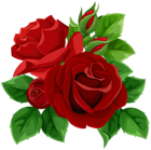 Red Roses PNG Transparent Image