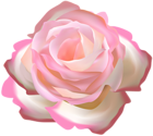 Rose Decorative Transparent Image