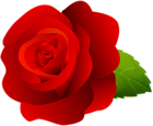 Rose Red Clip Art PNG Image