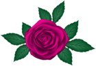 Rose Transparent PNG Clip Art Image