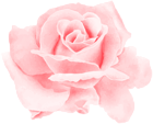Rose Watercolor Red PNG Clipart