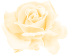 Rose Watercolor Yellow PNG Clipart