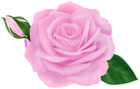 Rose with Bud Pink Transparent Clipart