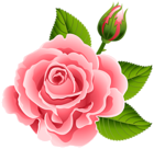 Rose with Rose Bud PNG Clip Art Image