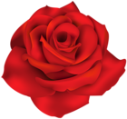 Single Red Rose PNG Clip Art Image