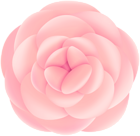 Soft Rose Decorative Transparent Clipart