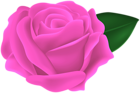 Transparent Pink Rose PNG Clipart