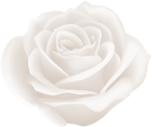 White Rose Clip Art Image