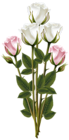 Shining Transparent Frame with Flowers