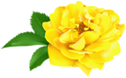 Yellow Rose Clip Art Image
