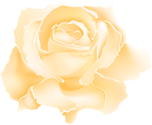 Yellow Rose Flower PNG Clipart