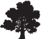 Tree Silhouette PNG Clip Art