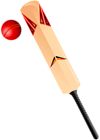 Cricket PNG Clip Art Image