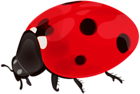 Ladybug PNG Clip Art