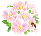 Pink Spring Flowers with Bee