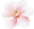 Spring Tree Flower PNG Transparent Clipart