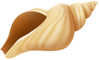 Conch PNG Clip Art Image