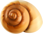 Sea Snail Shell Transparent PNG Clip Art