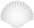 White Clam PNG Transparent Clipart