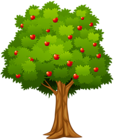 Apple Tree PNG Clip Art Image