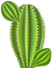 Cactus Clip Art Image