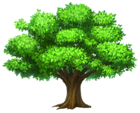 Oack Tree PNG Clipart Picture
