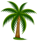 Painted Palm Tree PNG Clipart
