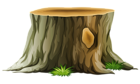 Tree Stump PNG Clipart Picture
