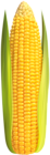 Corn Clip Art Image