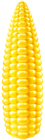 Corn PNG Clip Art Image