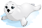 Transparent Seal Png Clipart 