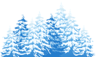 Winter Trees PNG Clip Art Image