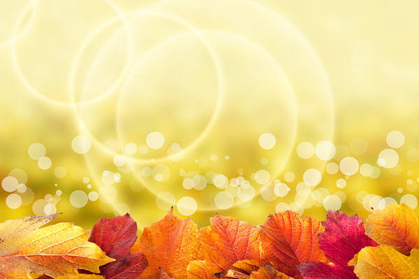 This jpeg image - Background with Autumn Leaves, is available for free download