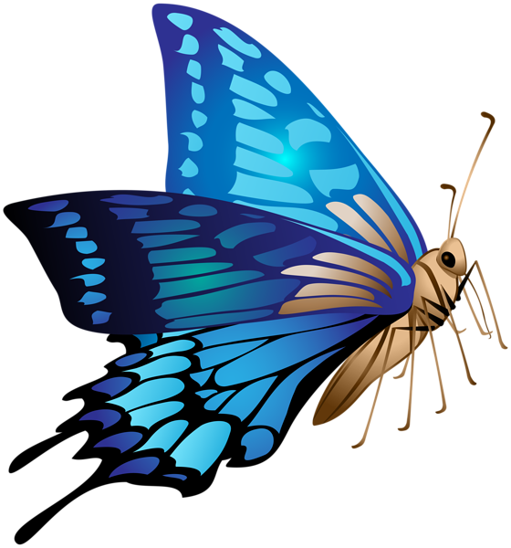 This png image - Blue Butterfly PNG Clip Art Image, is available for free download